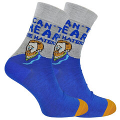 Мужские носки Vincent Van Gogh I Can't Hear Haters Socks 39-42 D-1608-2 39-42 цена и информация | Мужские носки | 220.lv