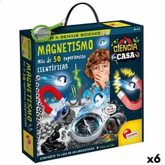 Radošais komplekts Lisciani Magnetism, 6 gab. cena un informācija | Attīstošās rotaļlietas | 220.lv