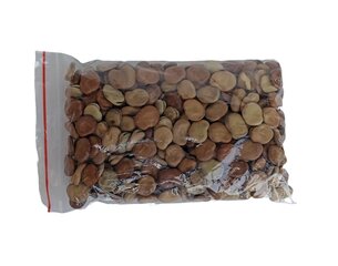 Dārza pupas White Windsor 0.5 kg cena un informācija | Dārzeņu, ogu sēklas | 220.lv