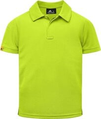 Рубашка-поло для мальчиков igeekwell, зеленая цена и информация | Рубашки для мальчиков | 220.lv