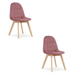 2 krēslu komplekts Oskar Bora, rozā krāsā cena un informācija | Virtuves un ēdamistabas krēsli | 220.lv
