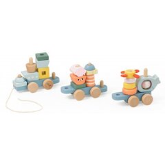 Koka Montessori vilciens, zils, CLASSIC WORLD cena un informācija | Rotaļlietas zīdaiņiem | 220.lv
