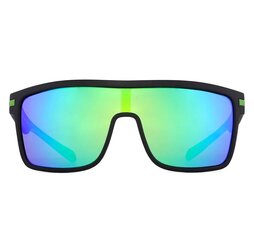 Polarizētas saulesbrilles vīriešiem D1 cena un informācija | Saulesbrilles  vīriešiem | 220.lv