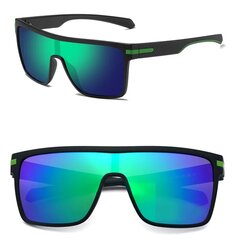 Поляризованные солнцезащитные очки для мужчин D1 цена и информация | Солнцезащитные очки для мужчин | 220.lv