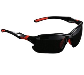 Polarizētas sporta saulesbrilles vīriešiem T16 cena un informācija | Saulesbrilles  vīriešiem | 220.lv