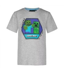Javoli детская футболка 209304 02, серый/зелёный 5056463456132 цена и информация | Рубашки для мальчиков | 220.lv