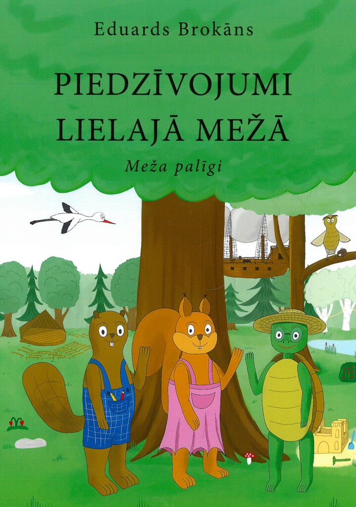 Piedzīvojumi Lielajā mežā цена и информация | Pasakas | 220.lv