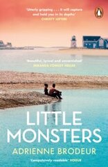 Little Monsters: perfect for fans of Fleishman is in Trouble and The Paper Palace цена и информация | Романы | 220.lv