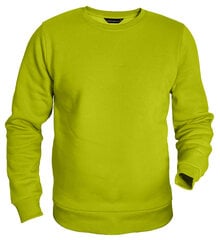Džemperis vīriešiem Pantoneclo, zaļš cena un informācija | Vīriešu džemperi | 220.lv