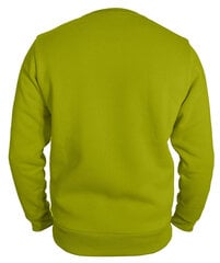 Džemperis vīriešiem Pantoneclo, zaļš cena un informācija | Vīriešu džemperi | 220.lv