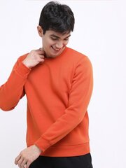 Džemperis vīriešiem Pantoneclo, oranžs цена и информация | Мужские свитера | 220.lv