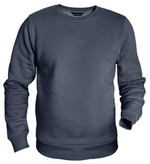Džemperis vīriešiem Pantoneclo, pelēks cena un informācija | Vīriešu džemperi | 220.lv