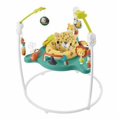 Aktivitāšu centrs Fisher Price Jumperoo Leopard cena un informācija | Staigulīši | 220.lv