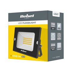LED prožektors 20w , 4000k, 230v cena un informācija | Lukturi | 220.lv