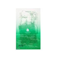 Питательная маска для лица Axis-Y Mugwort Green Vital Energy Complex Sheet Mask, 27 мл цена и информация | Маски для лица, патчи для глаз | 220.lv