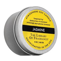 The Library Of Fragrance Jasmine 142 g цена и информация | Подсвечники, свечи | 220.lv