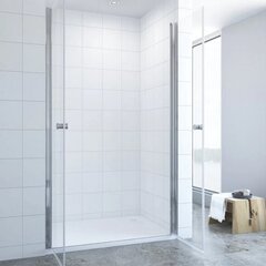 Dušas durvis AQUABATOS Coors 100x195 cena un informācija | Dušas durvis, dušas sienas | 220.lv