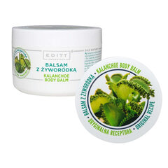 Ķermeņa balzams Editt Body Balm, 230 ml cena un informācija | Ķermeņa krēmi, losjoni | 220.lv