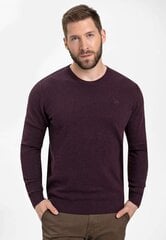S-RADO viegls džemperis cena un informācija | Vīriešu džemperi | 220.lv