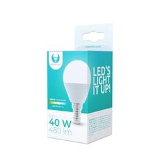LED bulb E14 G45 6W 6000K 480lm Forever Light цена и информация | Лампочки | 220.lv