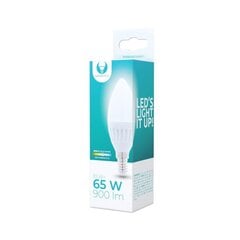 LED bulb E14 C37 10W 230V 6000K 900lm ceramic Forever Light цена и информация | Лампочки | 220.lv