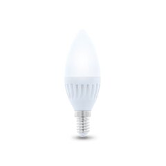 Forever Light LED spuldze E14 C37 10W 230V 5900495839787 cena un informācija | Spuldzes | 220.lv