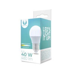 LED Bulb E27 G45 6W 230V 6000K 480lm Forever Light цена и информация | Лампочки | 220.lv