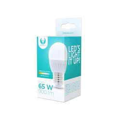 LED bulb E27 G45 10W 230V 6000K 900lm ceramic Forever Light цена и информация | Лампочки | 220.lv