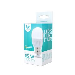 LED bulb E27 G45 10W 230V 3000K 900lm ceramic Forever Light цена и информация | Лампочки | 220.lv