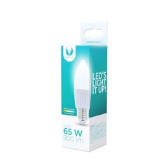 LED bulb E27 C37 10W 230V 6000K 900lm ceramic Forever Light цена и информация | Лампочки | 220.lv