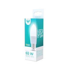 LED bulb E27 C37 10W 230V 3000K 900lm ceramic Forever Light цена и информация | Лампочки | 220.lv