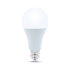 LED bulb E27 A65 15W 230V 6000K 1470lm Forever Light цена и информация | Лампочки | 220.lv