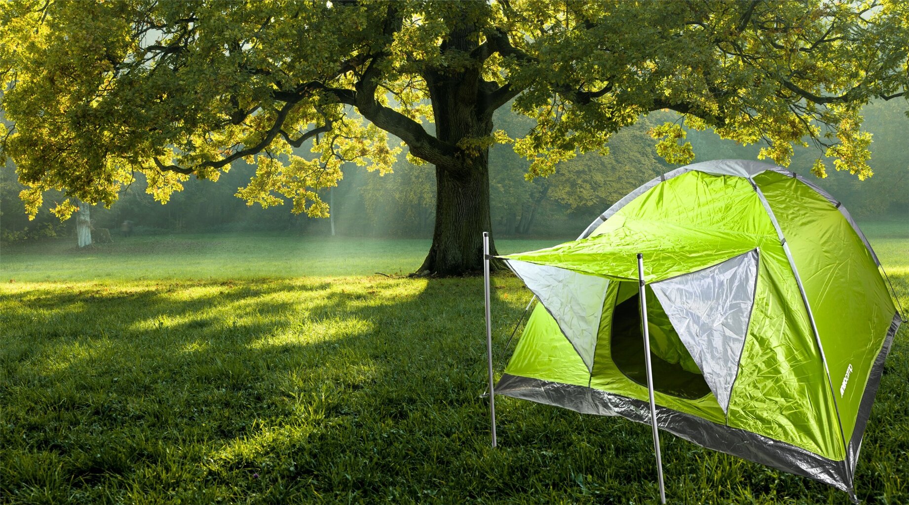 Kempinga telts Campela Tropical4, pelēka 4 personām цена и информация | Teltis | 220.lv