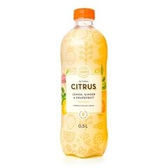 Gāzēts bezalkoholiskais dzēriens Aquanine Citrus, 0,5 l cena un informācija | Atsvaidzinoši dzērieni | 220.lv