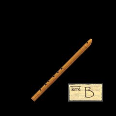 Īru Bb tonalitātes flauta Terre Irish whistle Note cena un informācija | Pūšamie instrumenti | 220.lv