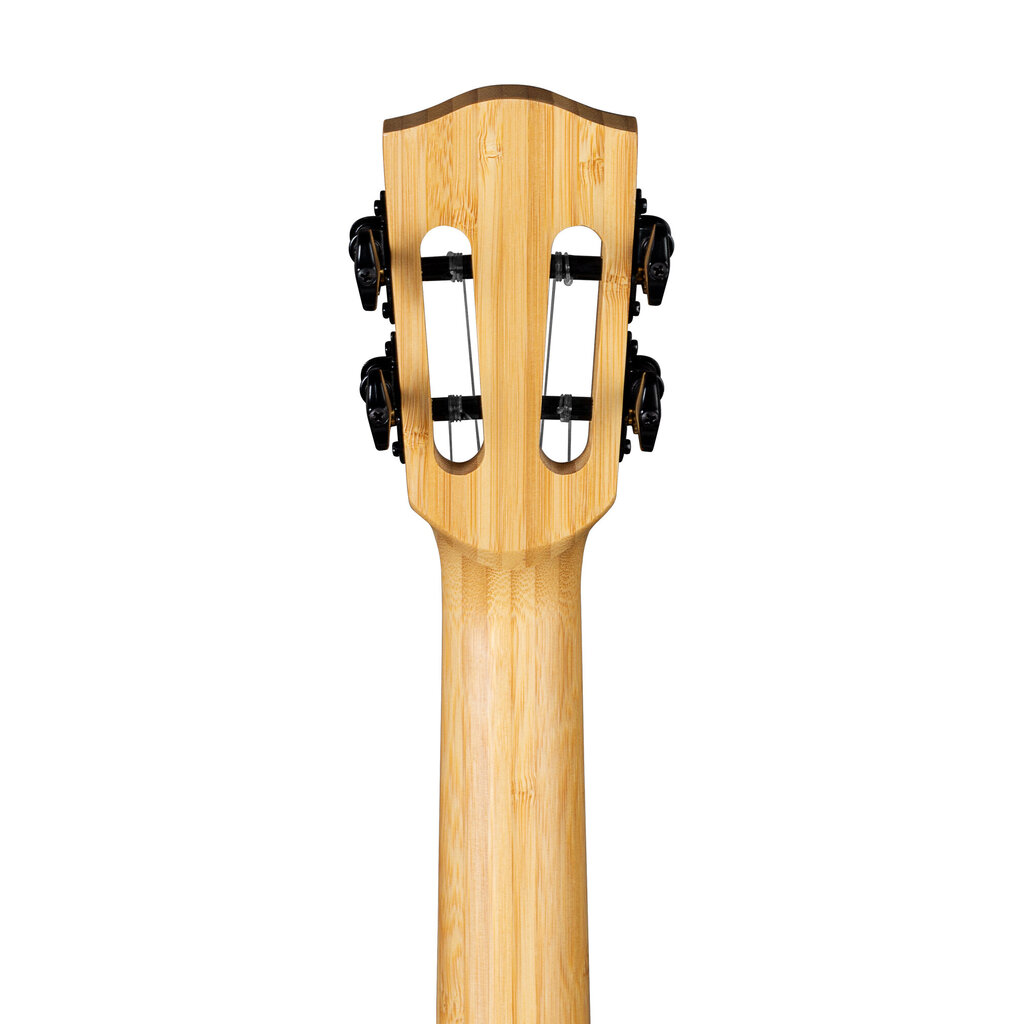 Elektroakustiskā tenora ukulele Cascha Bamboo Graphite HH 2317E цена и информация | Ģitāras | 220.lv