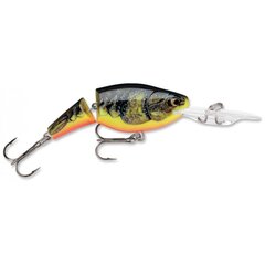 Воблер Jointed Shad Rap 5cm/8g/1.8-3.9m FCW цена и информация | Воблеры, приманки, блесны | 220.lv