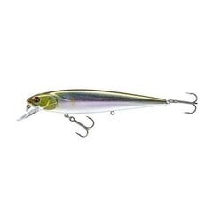 Daiwa PX Minnow SR 120 12cm/17g/0,6-1,2m setsuki ayu цена и информация | Воблеры, приманки, блесны | 220.lv