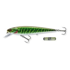 Daiwa PX Minnow SR 120 12cm/17g/0,6-1,2m live pike цена и информация | Воблеры, приманки, блесны | 220.lv