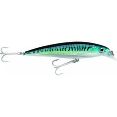 Māneklis Rapala X-Rap Saltwater SBM cena un informācija | Vobleri, ēsmas, vizuļi | 220.lv