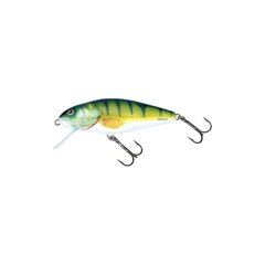 Воблер Perch 12F 12cm/36g/2.0-4.0m PHH цена и информация | Воблеры, приманки, блесны | 220.lv