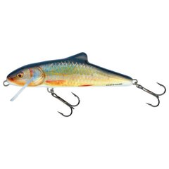 Lure Skinner 10F 10cm/13g/0.5-1.5m RR цена и информация | Воблеры, приманки, блесны | 220.lv