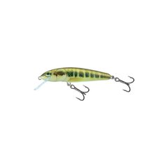 Воблер Minnow 5F 5cm/3g/0.5-1.0m MIN цена и информация | Воблеры, приманки, блесны | 220.lv