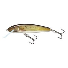 Воблер Minnow 7S 7cm/8g/1.5-2.0m GRY цена и информация | Воблеры, приманки, блесны | 220.lv