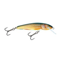 Воблер Minnow 7S 7cm/8g/1.5-2.0m RR цена и информация | Воблеры, приманки, блесны | 220.lv