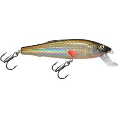 Vobleris Aqua Fishing Tackle 100mm 018 cena un informācija | Vobleri, ēsmas, vizuļi | 220.lv