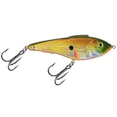 Vobleris Aqua Fishing Tackle 105mm 114 cena un informācija | Vobleri, ēsmas, vizuļi | 220.lv