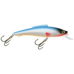 Vobleris Aqua Fishing Tackle 110mm 015 cena un informācija | Vobleri, ēsmas, vizuļi | 220.lv