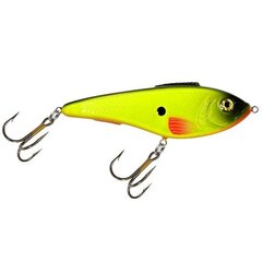 Vobleris Aqua Fishing Tackle 115mm 144 cena un informācija | Vobleri, ēsmas, vizuļi | 220.lv