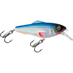 Vobleris Aqua Fishing Tackle 75mm 015 cena un informācija | Vobleri, ēsmas, vizuļi | 220.lv